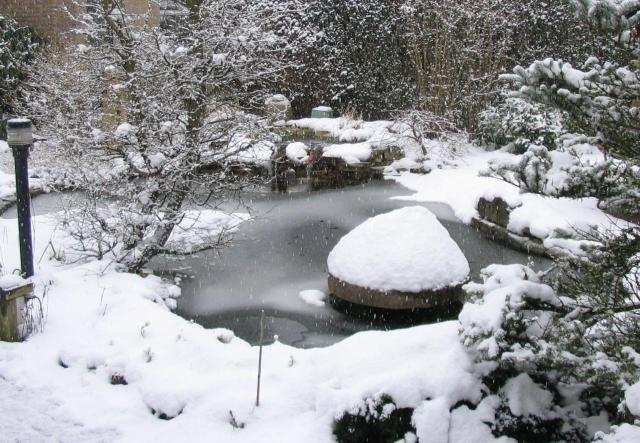 Uw tuinvijver, veilig de winter door. Het onderhoud van de vijver is in het najaar is belangrijk. De basis voor een mooie vijver in de zomer legt u namelijk al in de herfst ervoor.