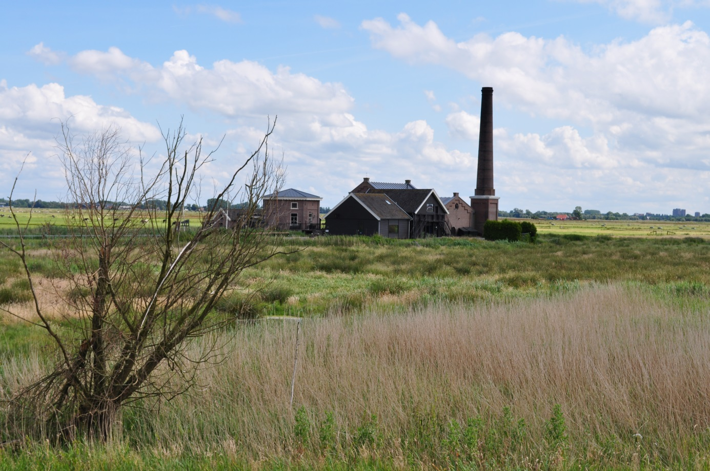 Broedvogels van Arkemheen en Delta Schuitenbeek in 2014 Samenvatting Arkemheen is een ruim 1740 ha metend open graslandgebied tussen Nijkerk en het Veluwerandmeer (hier Nuldernauw).