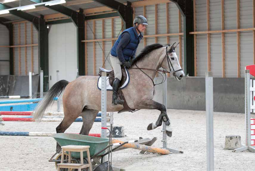 Richard Kapteijn leert de paarden al snel om in het midden van de piste te springen en begint met lage sprongetjes en veel van hand veranderen. Bekijk de bijbehorende video op KWPN.tv!