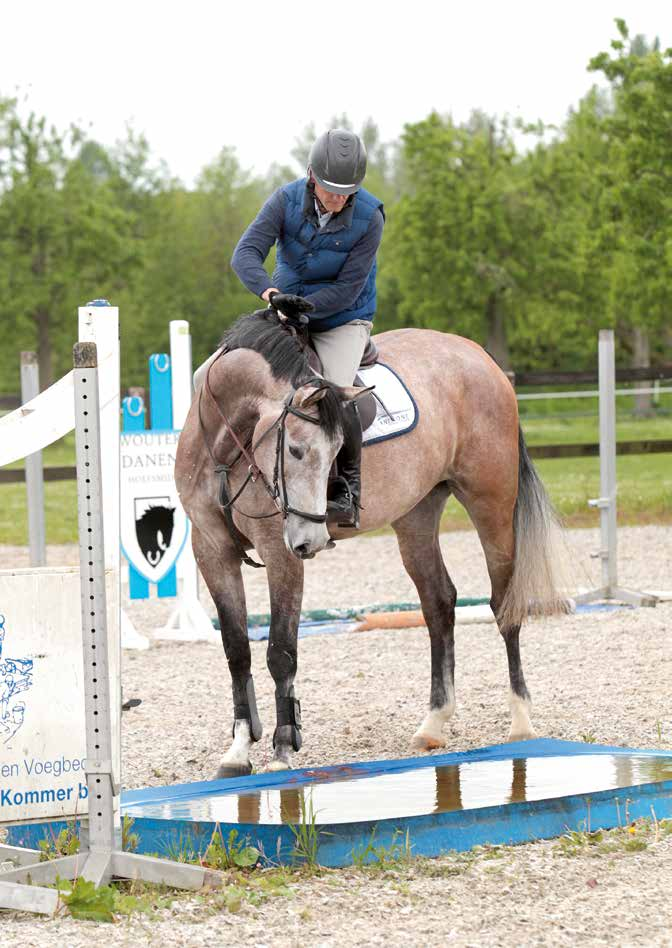 ISAH CUP Ook met het springen van slootjes en hekjes maakt de succesvolle opleider zijn paarden snel bekend. keer op ander terrein, gaan ze met de vrachtwagen op pad en daar leren ze al veel van.