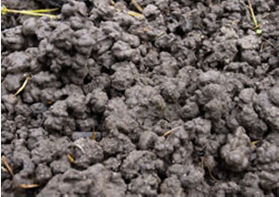 Nut van bodemleven Van belang voor koolstof en nutriëntenkringloop in de bodem Mengt organische stof in