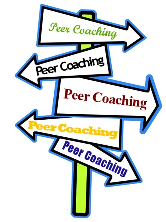 borging Peer-coaching Group-supervision Individual supervision Feedback op basis van