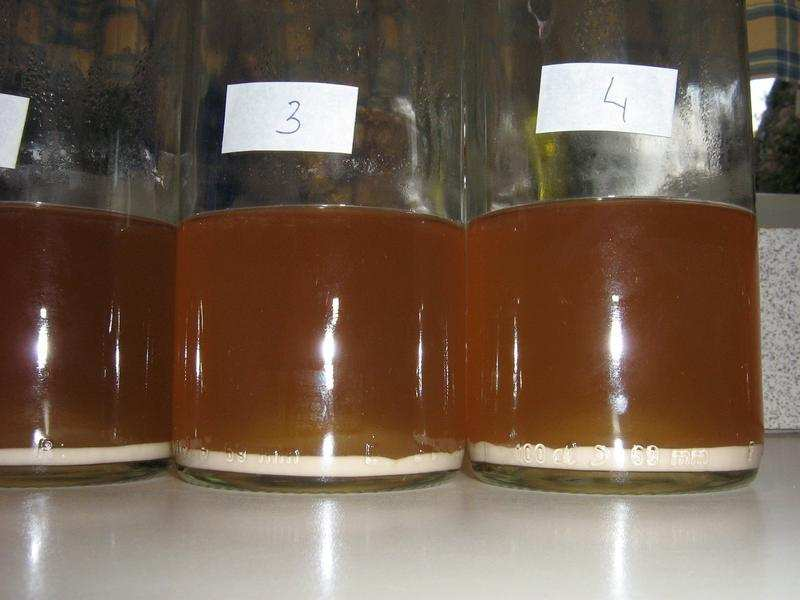 Hoeveelheid gist Uitgevoerd experiment 1 (2006) 4 flessen met elk 300 ml
