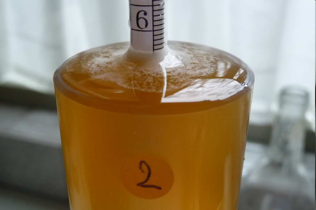 Moment suikertoevoeging 3 flessen moutextractoplossing 500 ml SG 1089 Toevoeging 20 g (8,2%) suiker -> SG 1103 0,50 g Fermentis