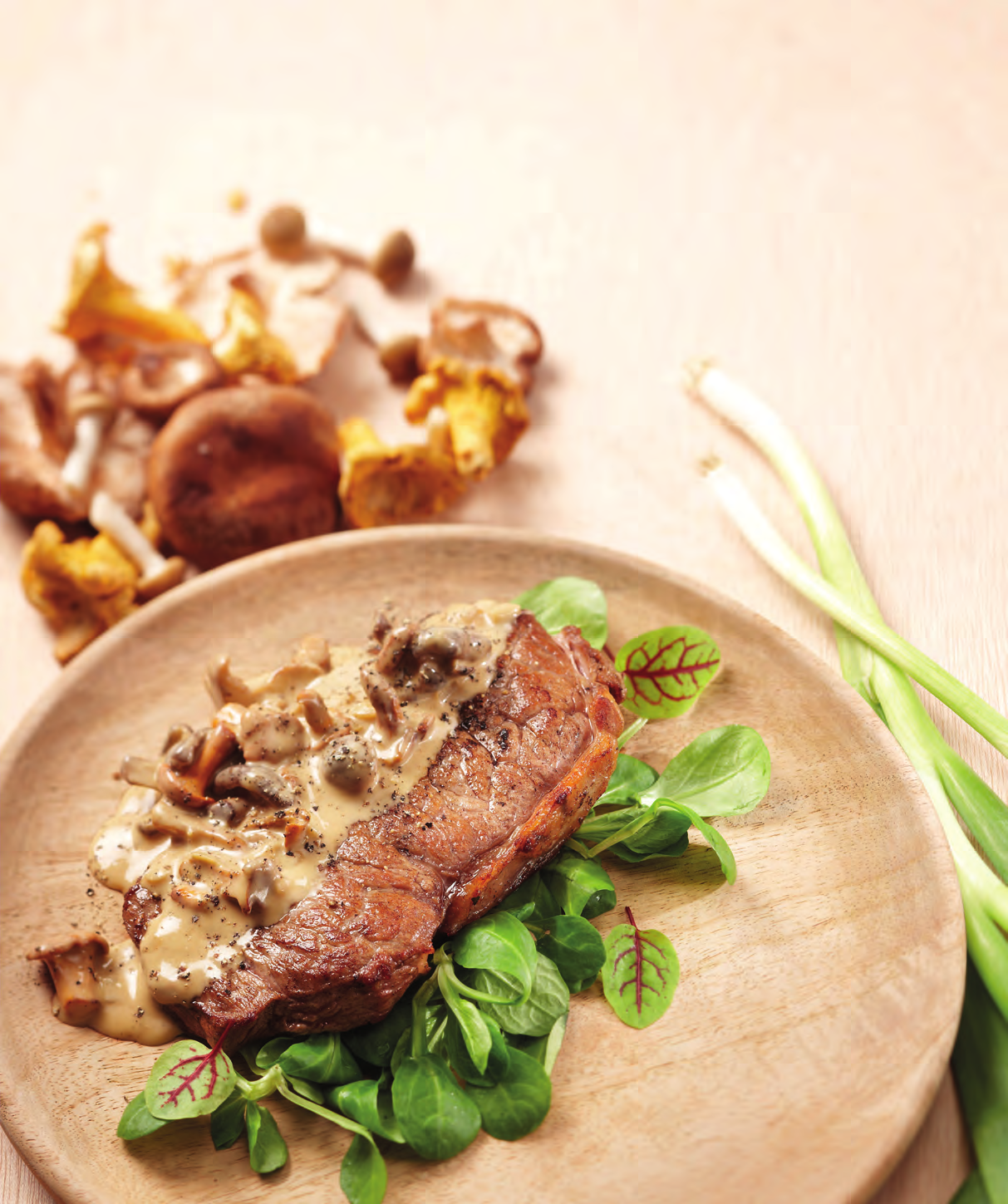 LEKKER EN GEZOND UIT DE HOGE HOED: PADDENSTOELEN! Met voorsprong de bekendste paddenstoel is natuurlijk de champignon. Maar er zijn talloze soorten. Rijk aan smaak en zeer geschikt om mee te koken.