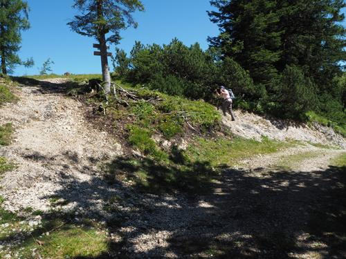 Wanneer de weg een slinger naar links en dan weer rechts heeft gemaakt, staat links in het bos weer een geel routebord. Daar gaat een stenig pad links omhoog, dat wordt onze terugweg.