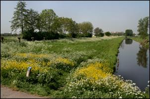 Diagonalen Diagonale lijnen in een foto komen dynamisch over; er lijkt vaart in de foto te zitten.