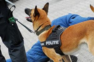 Patrouillehondgeleider: Verantwoordelijke officier Inspecteur hondengeleider CP Scheerens Gerrit Peeters Herman De inzet van een patrouillehond is heden ten dage moeilijk weg te denken in het moderne
