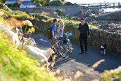 Fietsreizen / Europa / Ierland Code 716001 LA individuele reis Niveau Accommodatie Waardering GPS tracks aanwezig Ierland - Kerry, 8 dagen The Ring of Kerry per fiets, fietsvakantie langs bed &