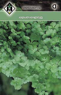 Bloeitijd: 6-10 Artikelnummer: 16150 Bieslook, Allium schoenoprasum v s Meerjarig keukenkruid voor vele gerechten. Hoogte: 30 cm. Zaaitijd: 3-7. Bloeitijd: 6-8.