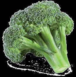 79 1 49 Gesloten bloemknopjes Broccoli is een koolsoort met mooie,