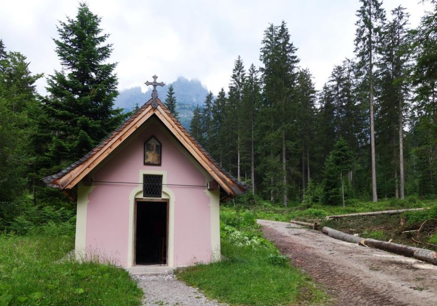 Donderdag 18 juni Prama/Going - Ackerlhütte - Baumgartnerkopf - Prama 10 km Laagste punt: 864 m Hoogste punt: 1569