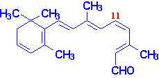 is trans isomeren