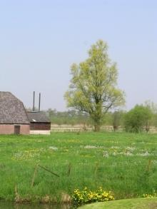 7. Historische Achtergronden Historische achtergrond: Knip en scheerheg Heggen zijn al eeuwen te vinden in het Nederlandse cultuurlandschap.