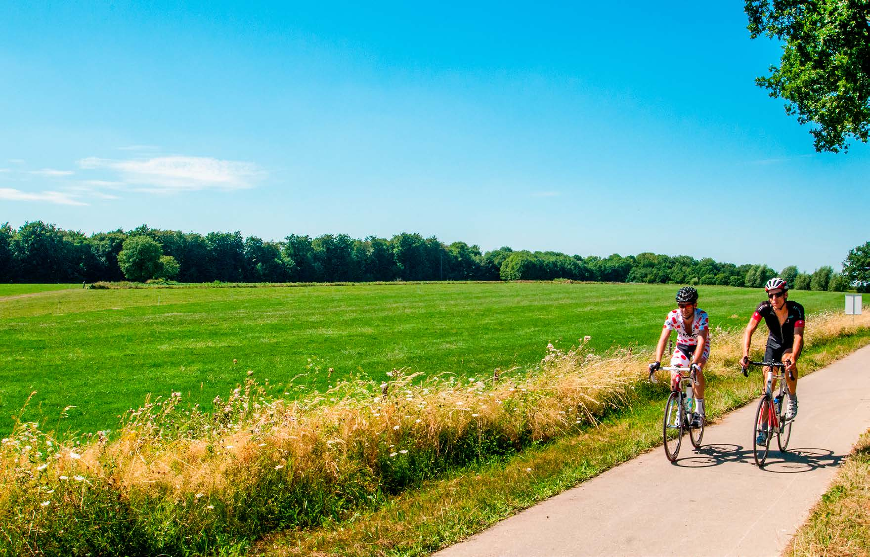 TOERISTISCHE TRENDS LIMBURG 2015-2016_vakanties VAKANTIES NEDERLANDSE GASTEN VERBLIJFSBEZOEK BUITENLANDSE GASTEN 1.903.000 vakanties 975.