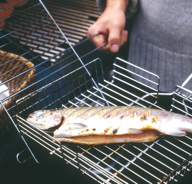 ACCESSOIRES gietijzeren bakplaat grillroosters vlamverdelers gietijzeren pan met deksel braadrek afdekhoezen De gietijzeren