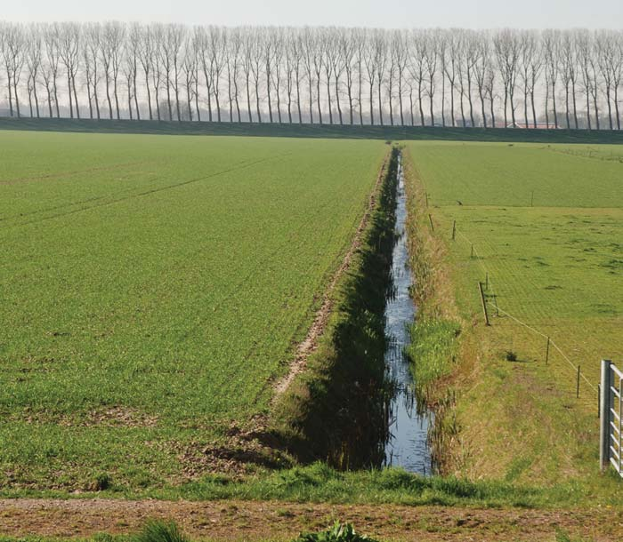 -2.90 Kavelsloten als basis Als aansluiting bij de landschappelijke karakteristieken van de polder is voor het realiseren van de benodigde berging gekozen voor een eenvoudig principe.