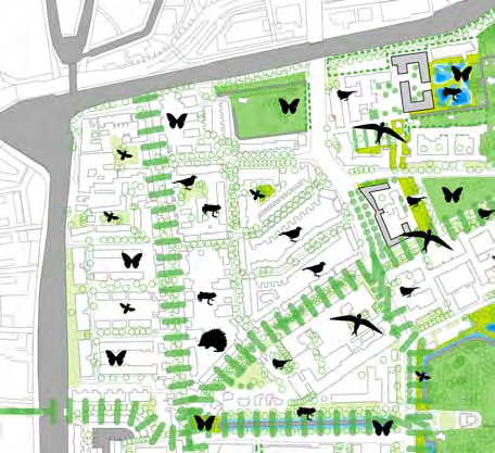 Grondeigenaren: woningbouwcorporaties particulieren gemeente Delft Groenperspectief: ruimtelijk sociaal ecologie fysisch economisch karakter van stad of plek recreatie bomen luchtkwaliteit