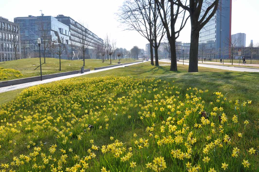Het Mekelpark is in 2009 opgeleverd en vormt het groene hart van de campus van de TU Delft.