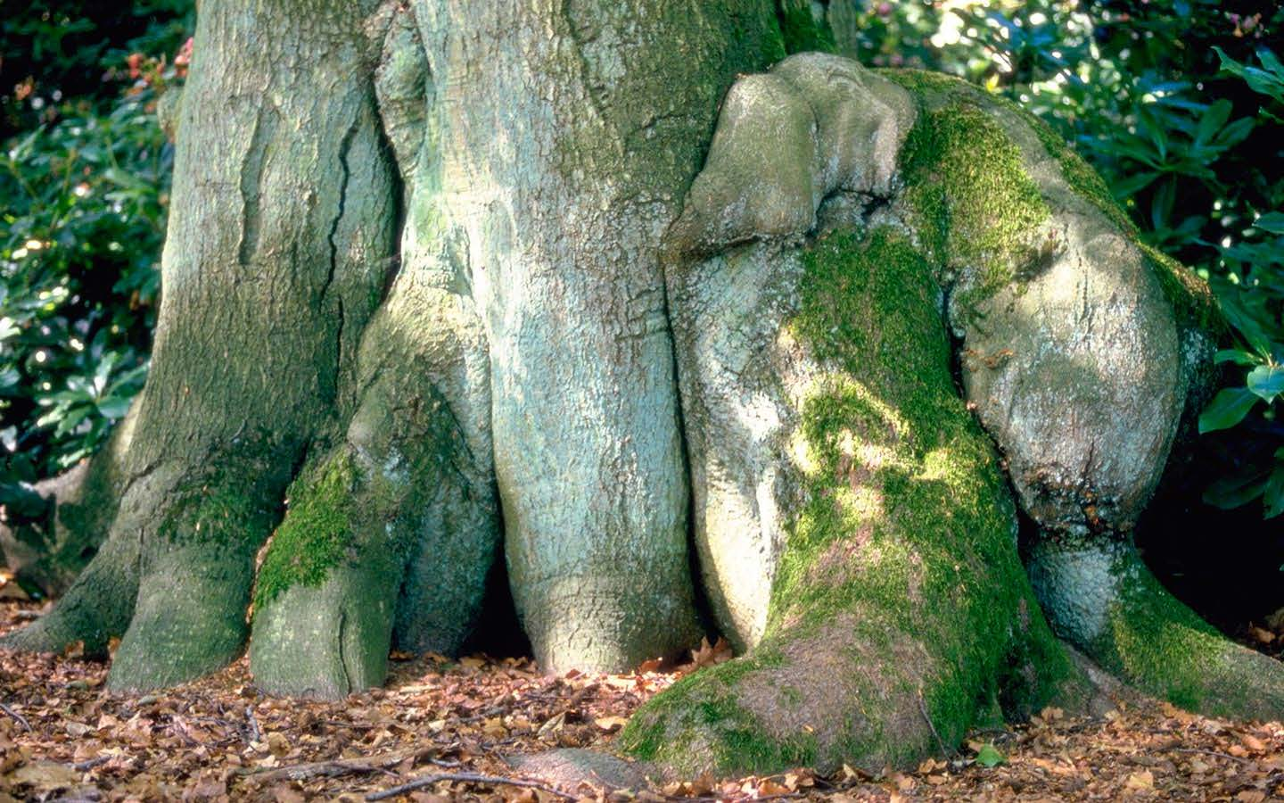 Groene verbindingen tussen stad en land Maurice Kruk