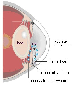 Algemeen Glaucoom is een oogziekte waarbij de oogzenuw beschadigt. Meestal komt dat doordat de druk in het oog te hoog is. Zonder behandeling kunt u door glaucoom slechtziend of blind worden.