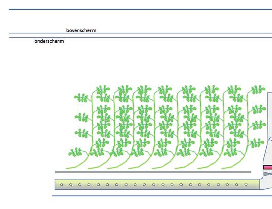 Tabel 1 Enkele kenmerken van komkommerbedrijf VA. Oppervlakte 7 ha Bouwjaar variërend, nieuwste uitbreiding in 2010 Kas Scherm 1&2 (nieuwe afde