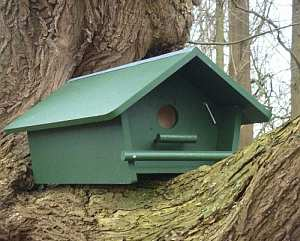 behouden bakhuisje. Hierdoor blijft een geschikte rust- en nestplaats voor Kerkuilen op het erf behouden.