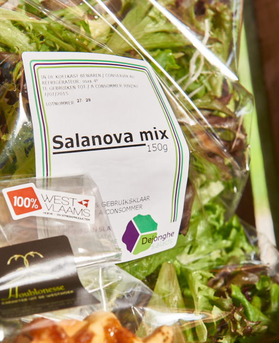 SALANOVA MIX De slamengeling, genaamd Salanova mix bestaat uit verschillende soorten eigen geteelde salanova samen met fijne Belgische krulandijvie.