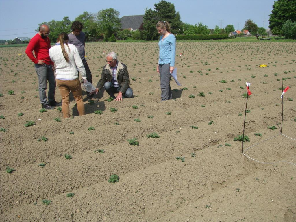 Speepunten in Hoeksche Waard (H-Wodka) Kennis-gedreven