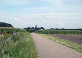 Droge zandgronden Droge zandgronden zijn vaak ontgonnen uit heide of het zijn oude bouwlandgronden die al lang in cultuur zijn.