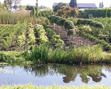 Veengronden De veengronden die voor landbouwdoeleinden in gebruik zijn, liggen voornamelijk in West- Nederland. In de buurt van veenriviertjes is er klei bijgemengd en zijn ze rijker.