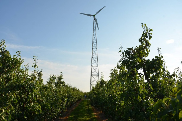 Wind Studieresultaten: Windenergie Grootschalige windenergie» vermogen > 300 kw Voor een typische windturbine van 2,3 MW geldt:»