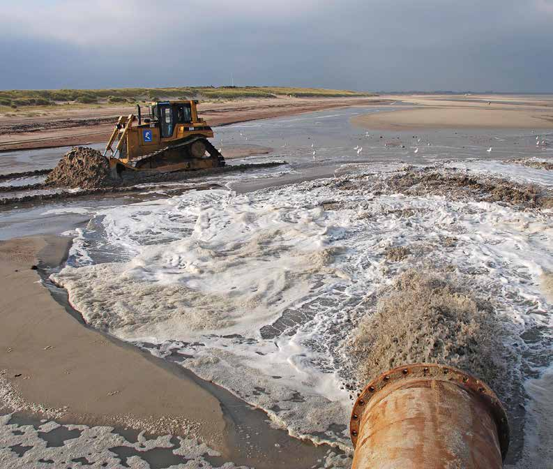 Om beter inzicht te krijgen in de effecten van zandsuppleties op kustecosystemen is het onderzoek hiernaar sinds de eeuwwisseling geïntensiveerd.