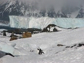 Rondreizen / Zuid-Amerika / Argentinië Code 644601 LA Internationale groep Niveau Accommodatie Antarctica * natuurcruise, 11 dagen het Antarctisch Schiereiland, internationale expeditieschip Plancius
