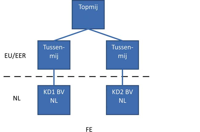 fiscale eenheid vormen. Zie figuur 2.