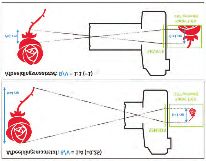 fig01_04 SENSORFORMAAT Met de maximale afbeeldingsmaatstaf van een lens ligt de vergrotingsfactor vast.