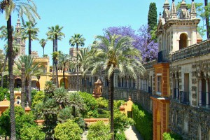 Het haciëndastijl boetiek hotel is weelderig gelegen in het idyllische Sevilliaanse landschap met glooiende heuvels en groene oases. Hier ervaart u het landelijke leven van de provincie Sevilla.