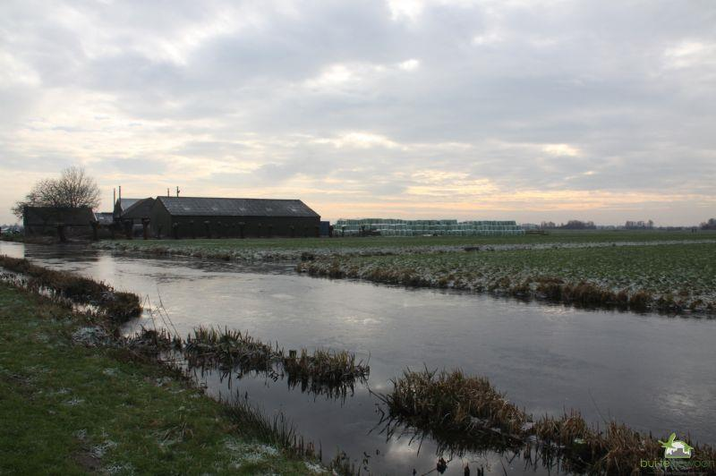 8] Vrij recent aangelegde natuurvriendelijke oever tussen de westelijke berm van de Provincialeweg en de Ringvaart.