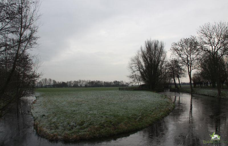 15] Het in het noordelijke perceel van het knooppunt dat is gelegen in polder Laag Bilwijk in een punt uitlopende gedeelte is geschikt voor een ruime rietvegetatie die gunstig is gesitueerd als in-