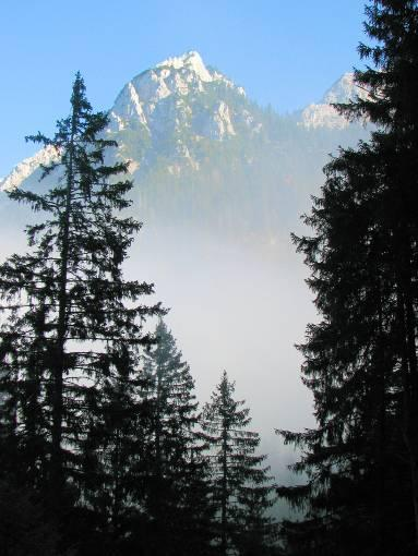 Het is nu nog geen uur meer afdalen naar de Vilser Alp en onderweg zien we de top van deze berg in het zonnetje liggen terwijl