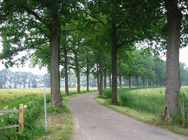 Gebiedsbeschrijving Structuur Hemmen ligt omringd door het Oeverwallen en stroomruggengebied. De kern van Hemmen maakt deel uit van een landgoed.