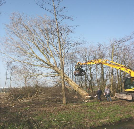 11. Begroting 2012. De penningmeester neemt de begroting door met de aanwezige.