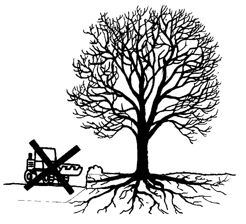 Plaats geen bouwmaterialen en geen bouwkeet onder de boom Voertuigen of bouwketen mogen nooit (tijdelijk) op het wortelpakket geplaatst worden.