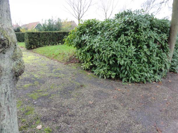 - in dit gebied ligt ook een aantal kindergraven; - door ophoging verandert het beeld fors: er ontstaat een ruimtelijk barrière; - alleen