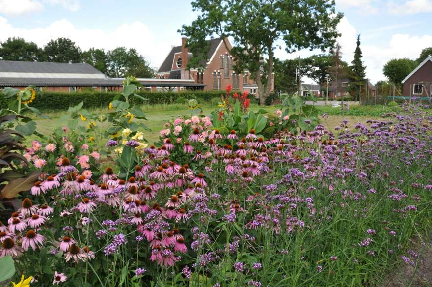 Dezelfde tuin met rode zonnehoed en