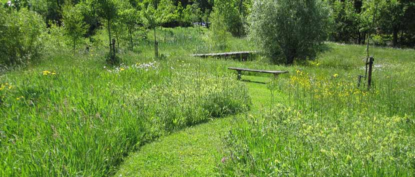 Door paden door de bloemenweide te maaien is de natuur optimaal te beleven. Ook geef t een gemaaid pad of gemaaide rand een verzorgde indruk.