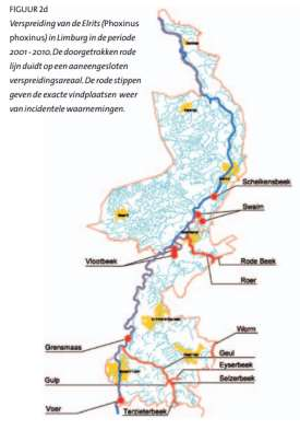 beken in Limburg Geul / Roer / Worm Vooruitgang elrits: Waterkwaliteit