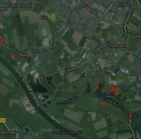 In de nazomer en herfst is door de relatief lage waterstanden van de IJssel de Hondsbroekse Pleij (HPL) aanvankelijk de favoriete slaapplaats.