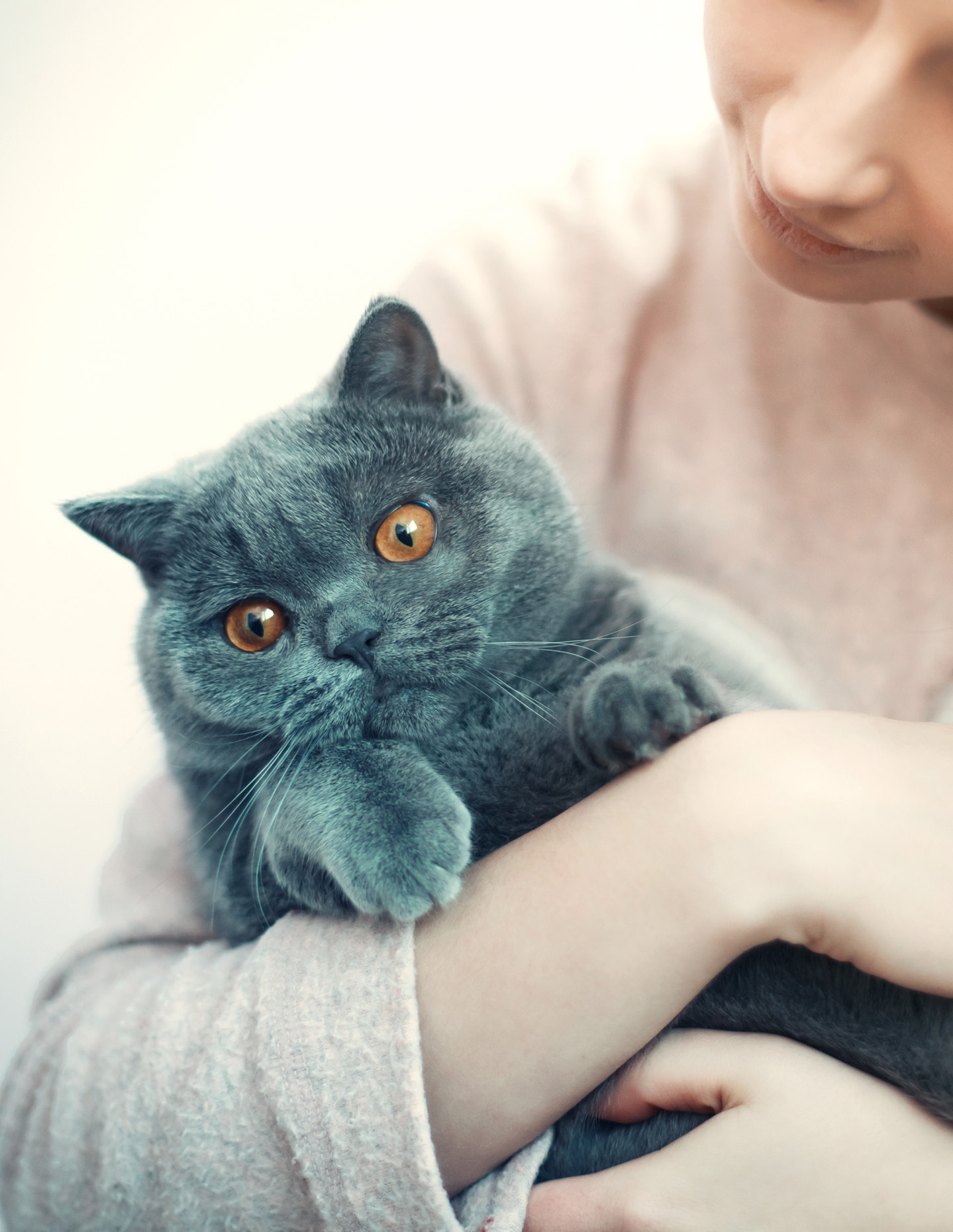 Hoe katten reageren op emoties van hun baasje Afstudeeronderzoek Opleiding Gedragstherapie voor