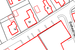 Molenstraat 12 Knotlinde